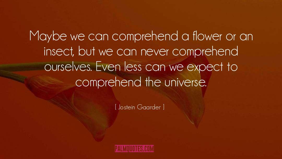 Jostein Gaarder Quotes: Maybe we can comprehend a