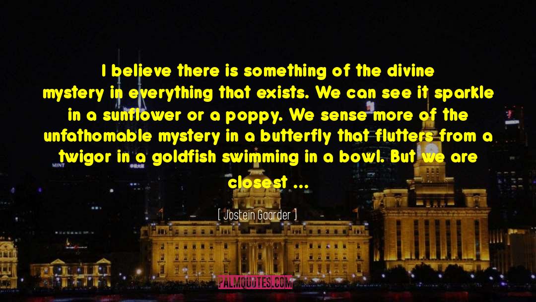 Jostein Gaarder Quotes: I believe there is something