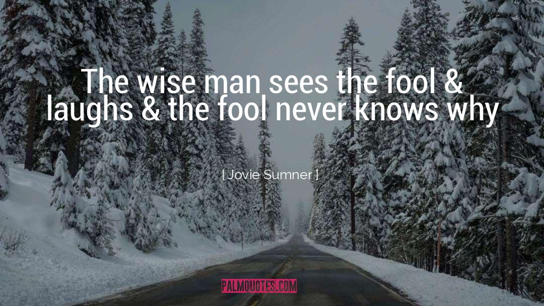 Jovie Sumner Quotes: The wise man sees the