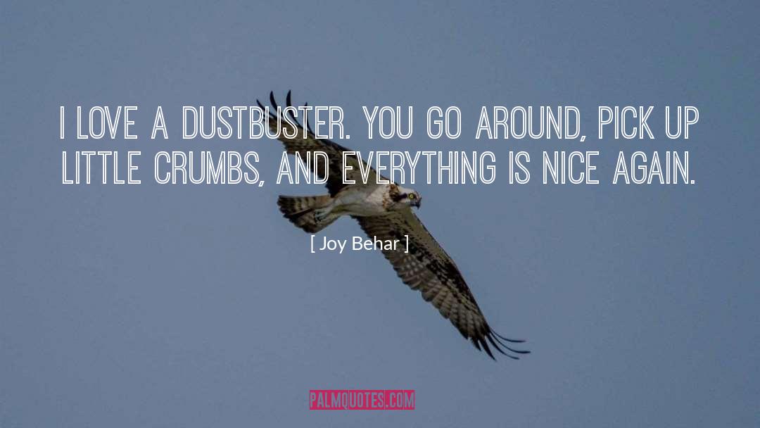 Joy Behar Quotes: I love a Dustbuster. You