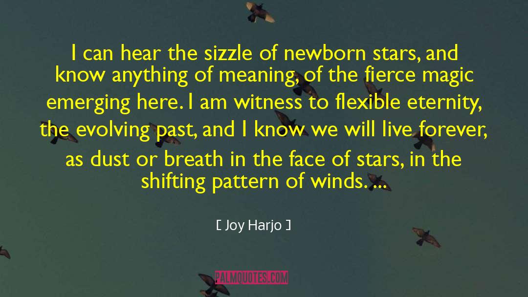 Joy Harjo Quotes: I can hear the sizzle