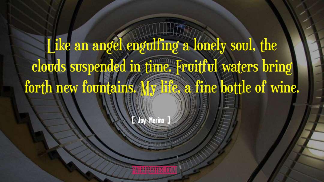 Joy Marino Quotes: Like an angel engulfing a