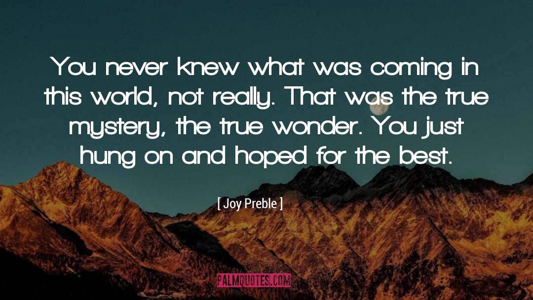 Joy Preble Quotes: You never knew what was