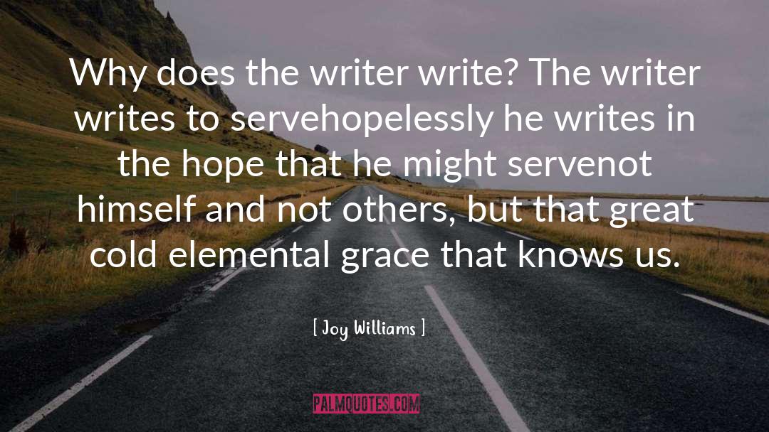 Joy Williams Quotes: Why does the writer write?