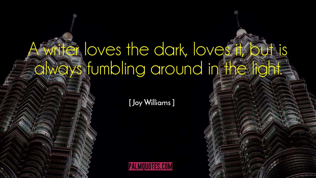 Joy Williams Quotes: A writer loves the dark,