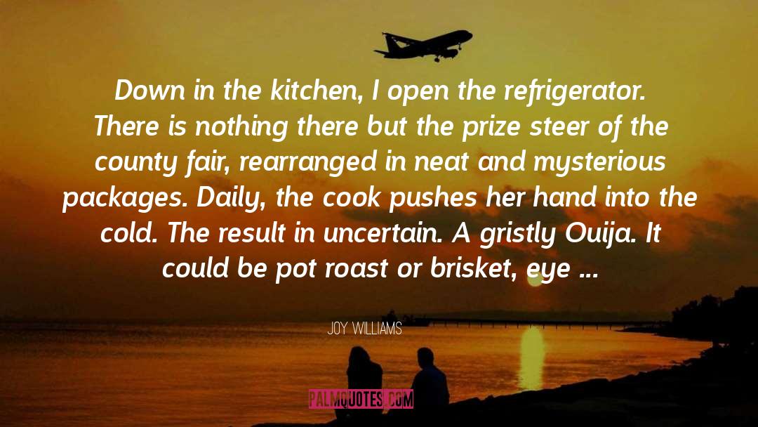 Joy Williams Quotes: Down in the kitchen, I