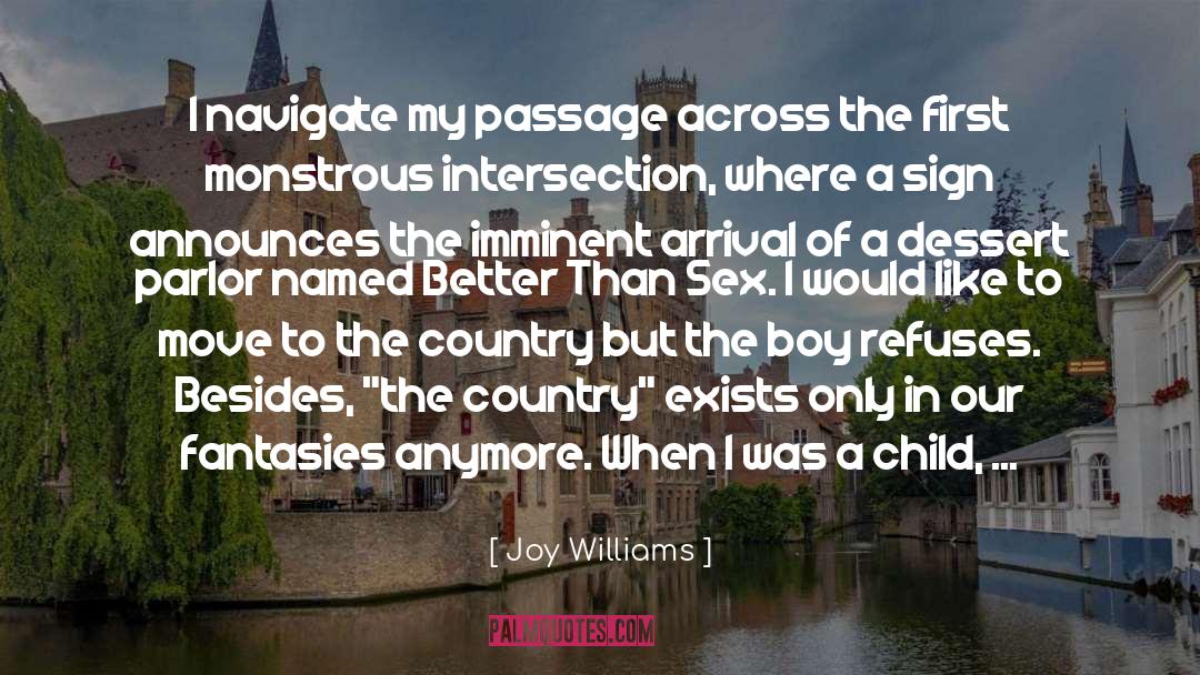 Joy Williams Quotes: I navigate my passage across