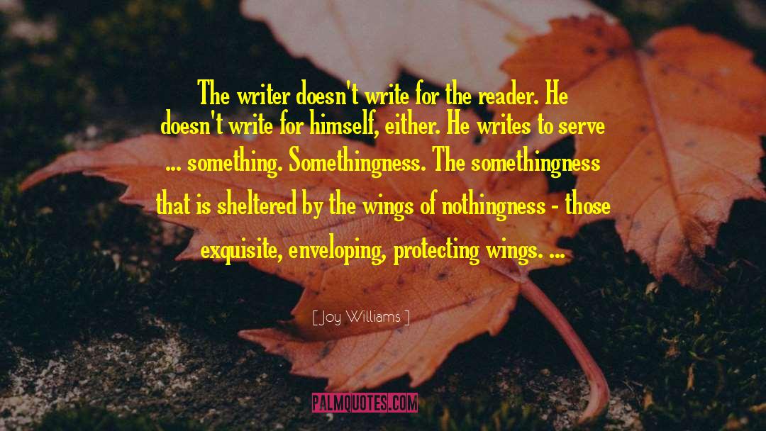 Joy Williams Quotes: The writer doesn't write for