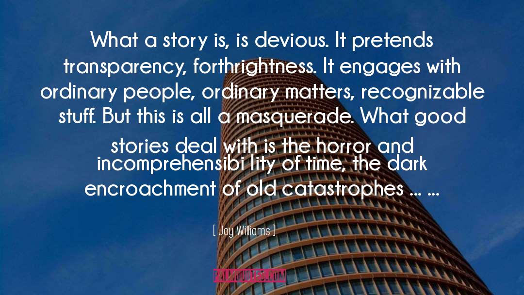 Joy Williams Quotes: What a story is, is