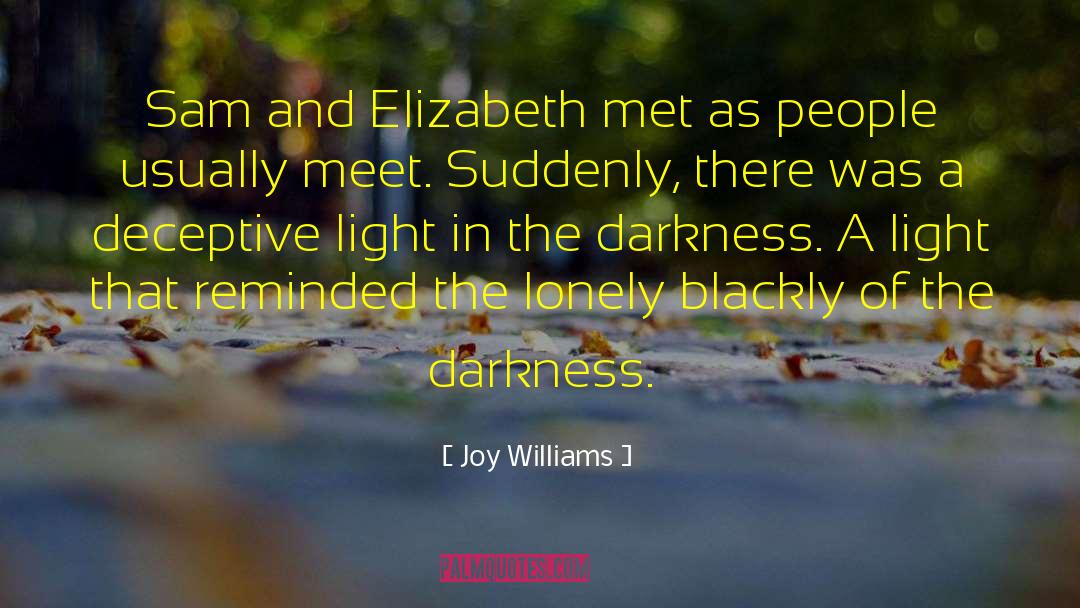 Joy Williams Quotes: Sam and Elizabeth met as