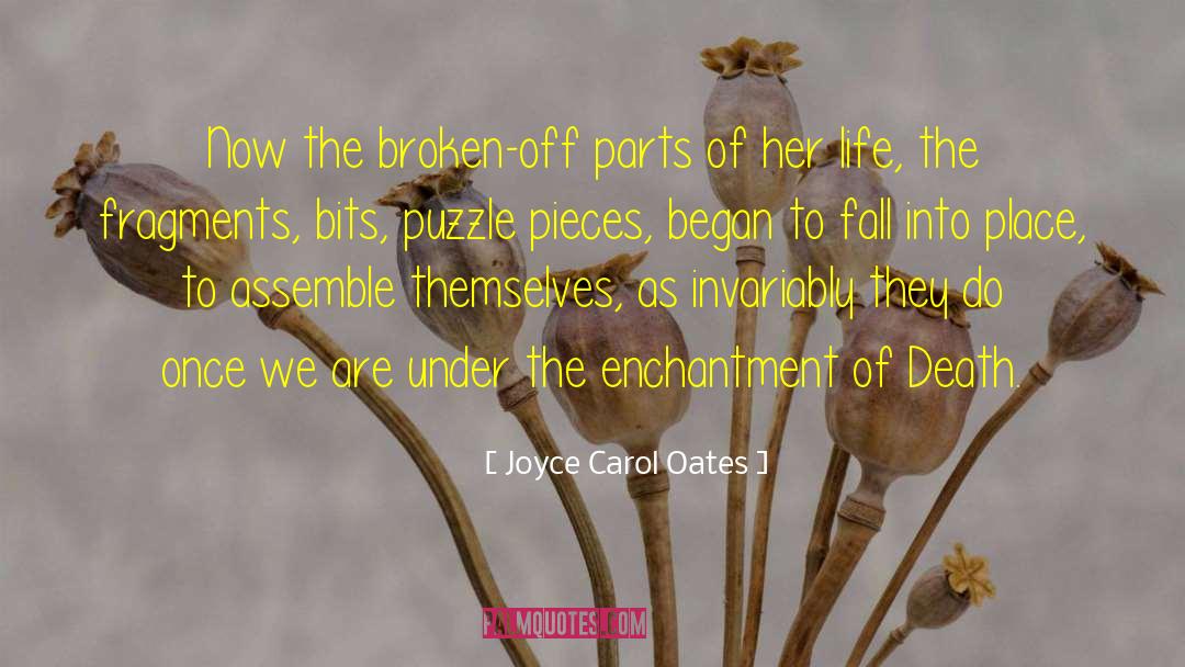 Joyce Carol Oates Quotes: Now the broken-off parts of