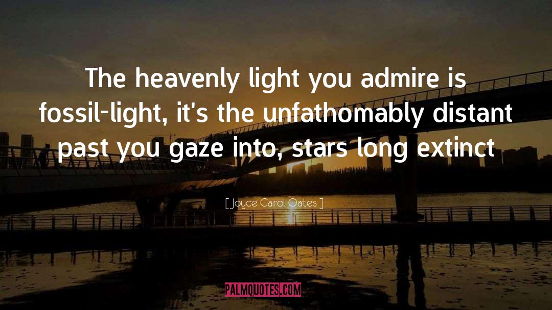 Joyce Carol Oates Quotes: The heavenly light you admire