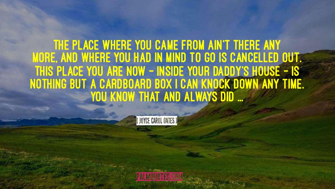Joyce Carol Oates Quotes: The place where you came