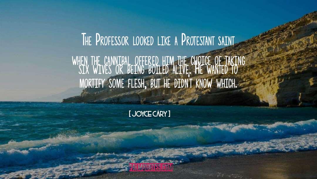 Joyce Cary Quotes: The Professor looked like a