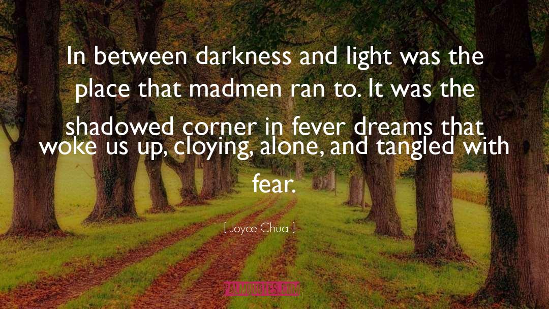 Joyce Chua Quotes: In between darkness and light