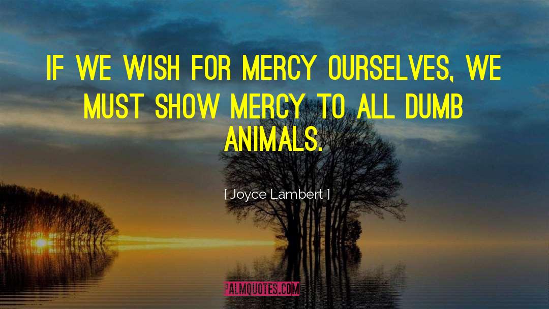 Joyce Lambert Quotes: If we wish for mercy