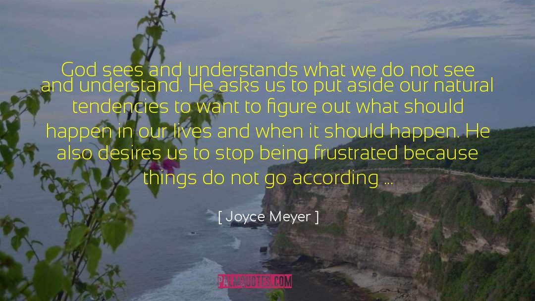 Joyce Meyer Quotes: God sees and understands what