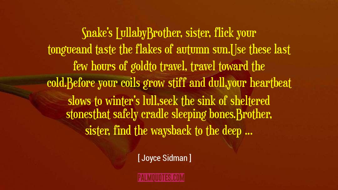 Joyce Sidman Quotes: Snake's Lullaby<br /><br />Brother, sister,