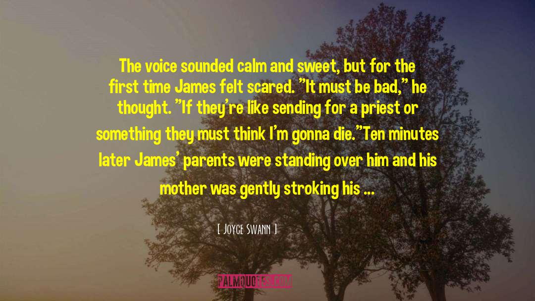 Joyce Swann Quotes: The voice sounded calm and