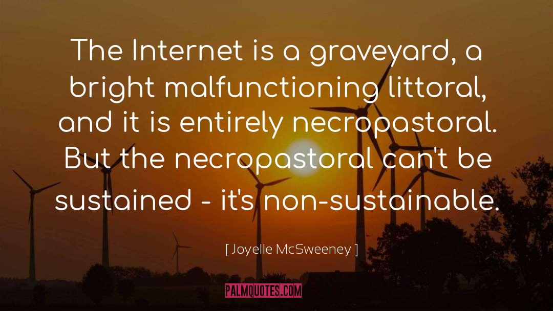 Joyelle McSweeney Quotes: The Internet is a graveyard,