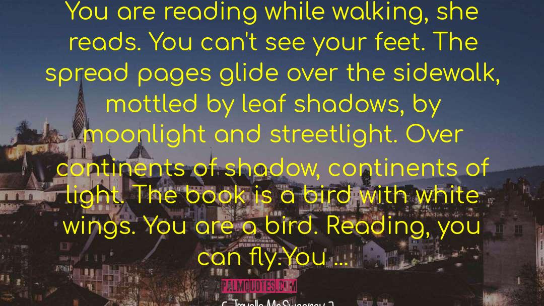 Joyelle McSweeney Quotes: You are reading while walking,
