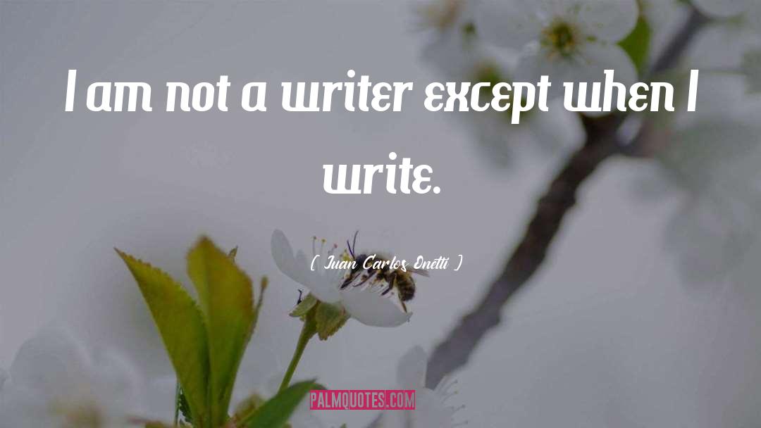 Juan Carlos Onetti Quotes: I am not a writer