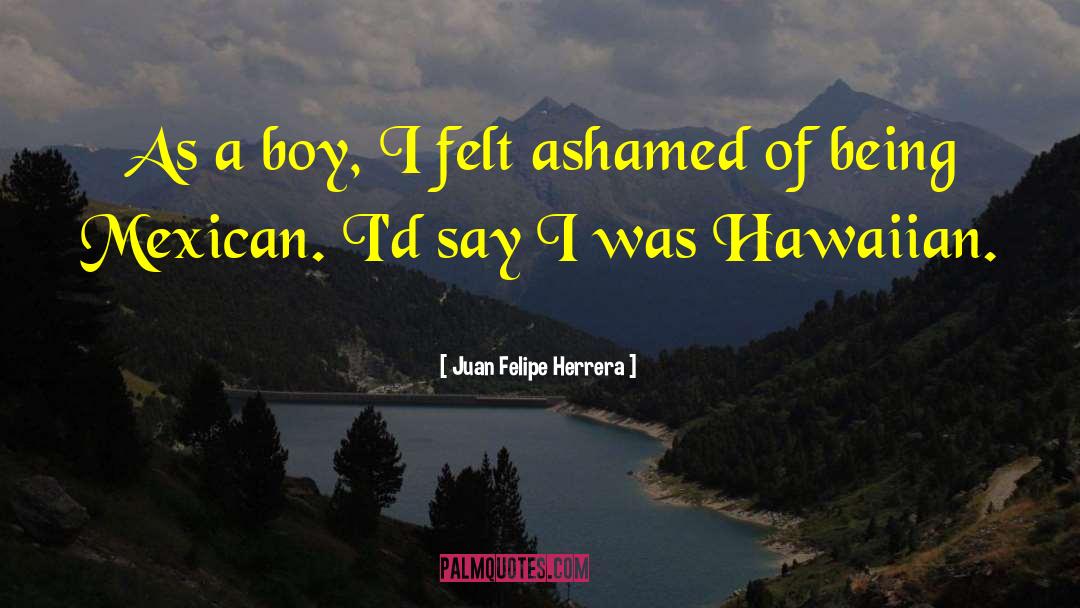 Juan Felipe Herrera Quotes: As a boy, I felt