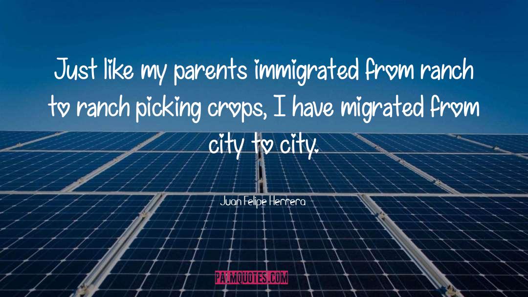 Juan Felipe Herrera Quotes: Just like my parents immigrated