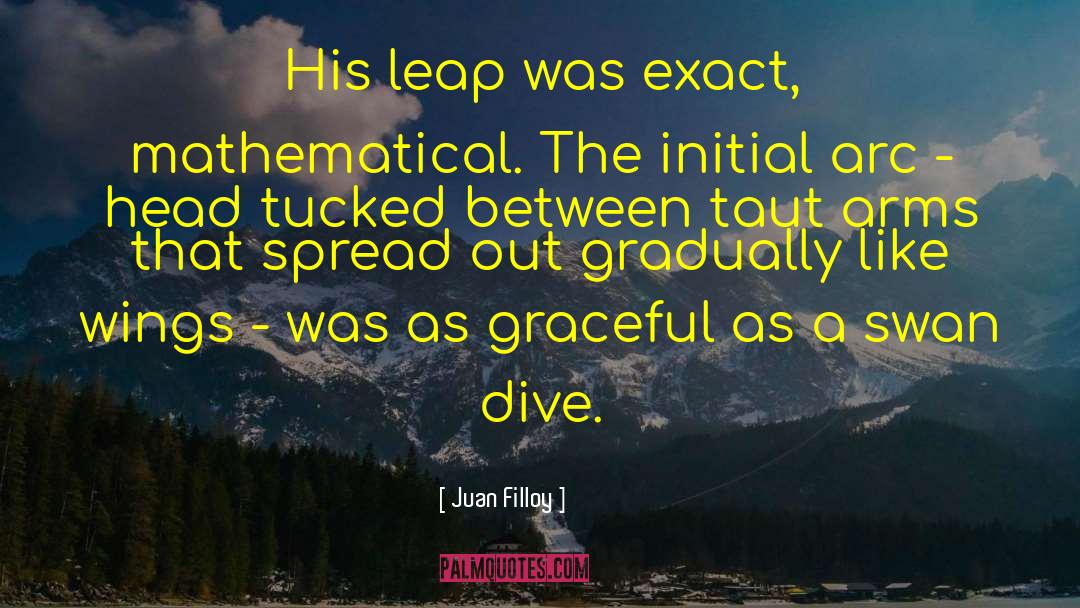 Juan Filloy Quotes: His leap was exact, mathematical.
