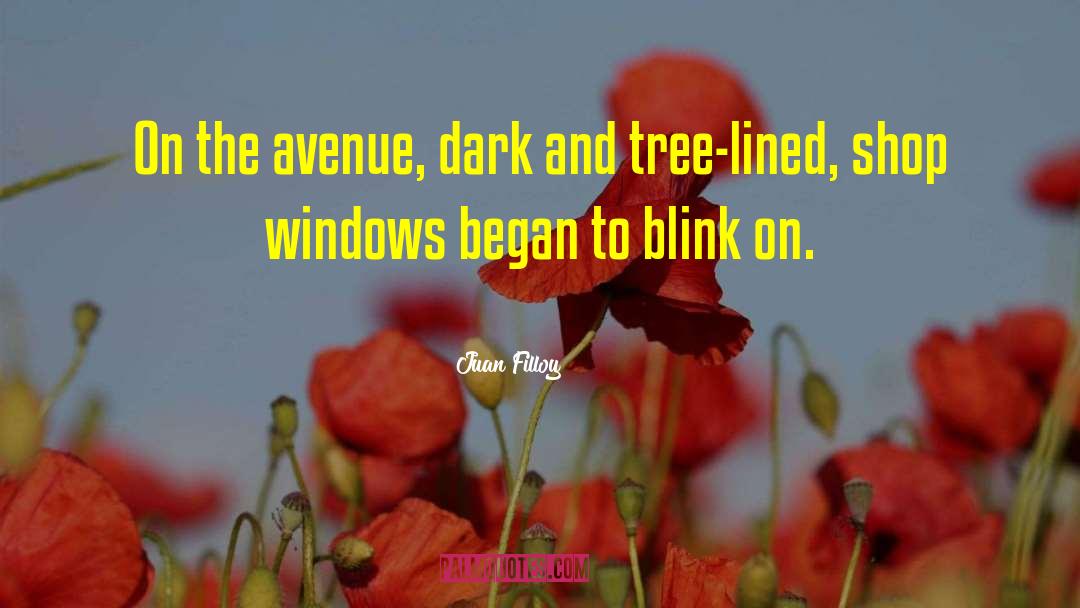 Juan Filloy Quotes: On the avenue, dark and