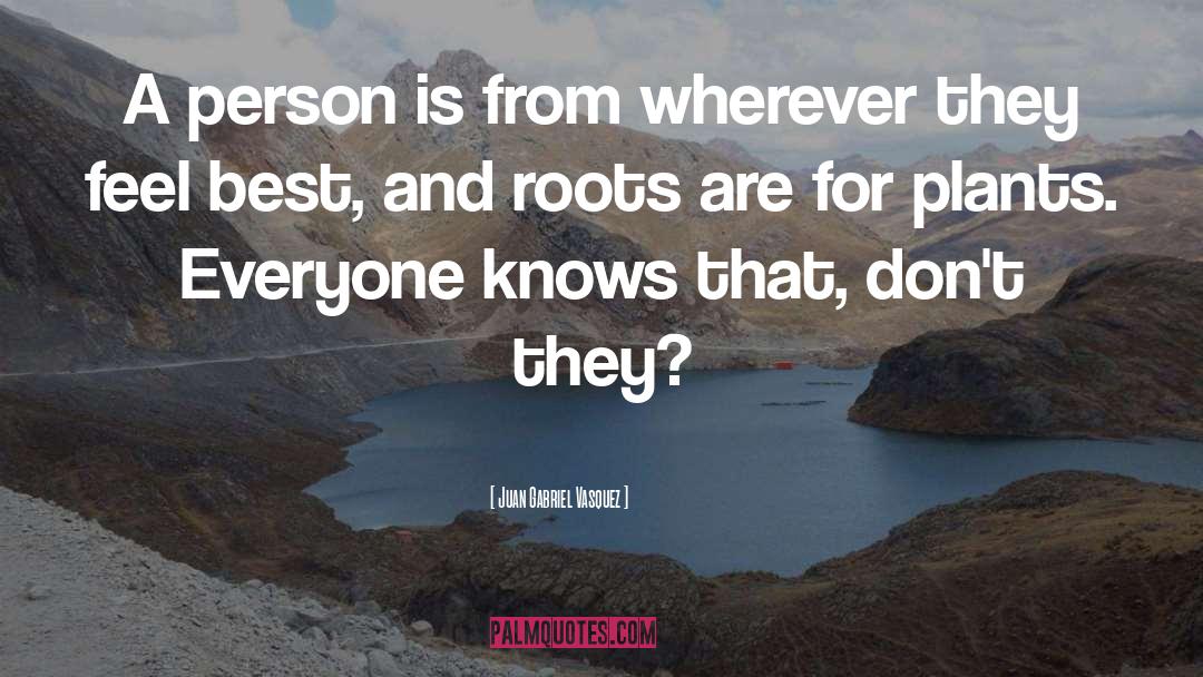 Juan Gabriel Vasquez Quotes: A person is from wherever