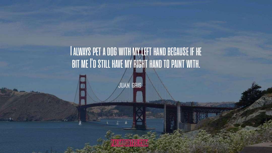 Juan Gris Quotes: I always pet a dog