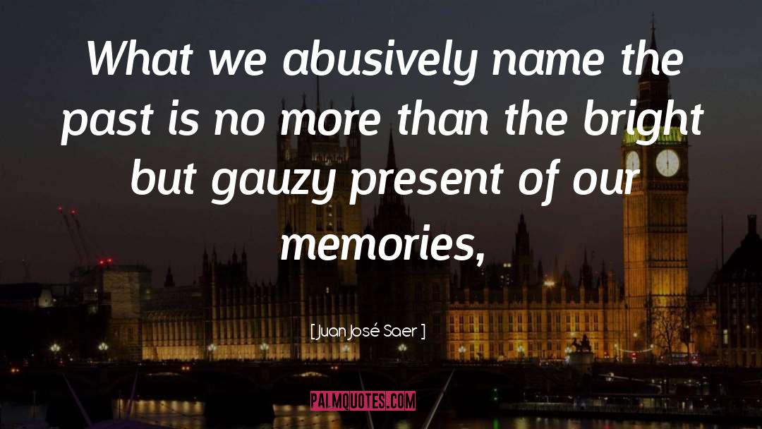 Juan José Saer Quotes: What we abusively name the