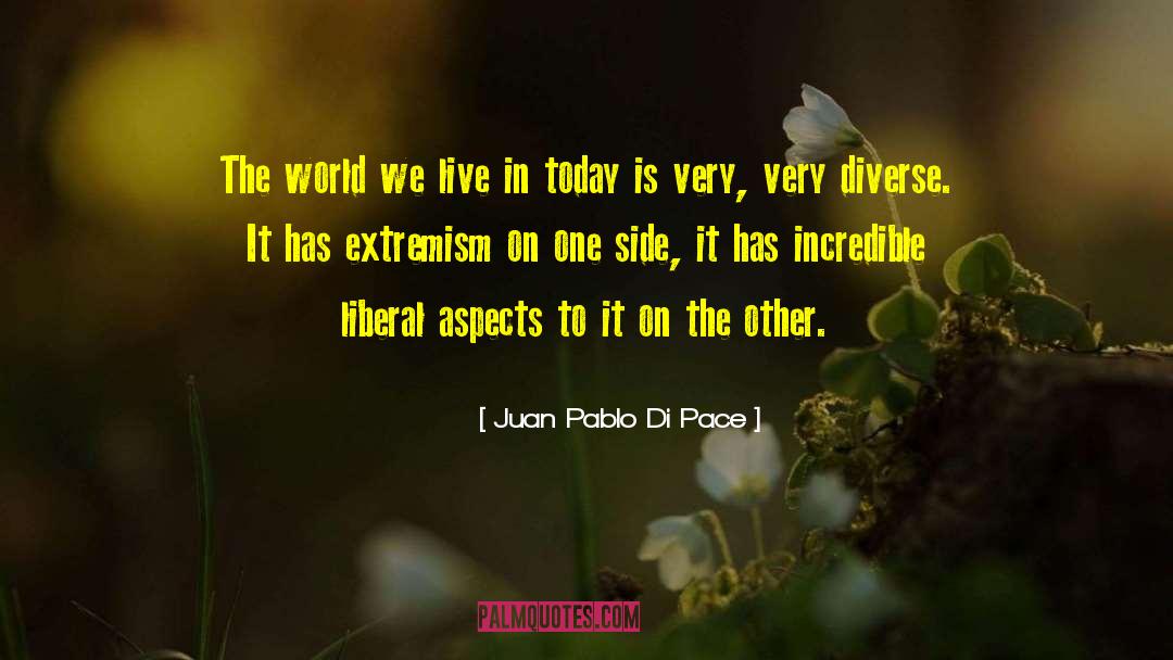 Juan Pablo Di Pace Quotes: The world we live in