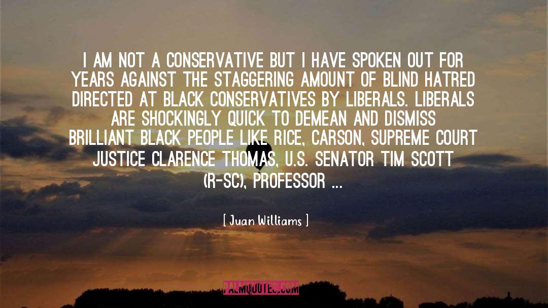 Juan Williams Quotes: I am not a conservative