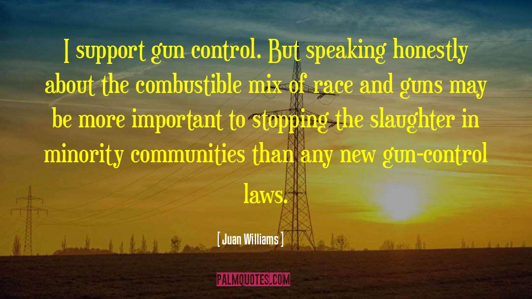 Juan Williams Quotes: I support gun control. But