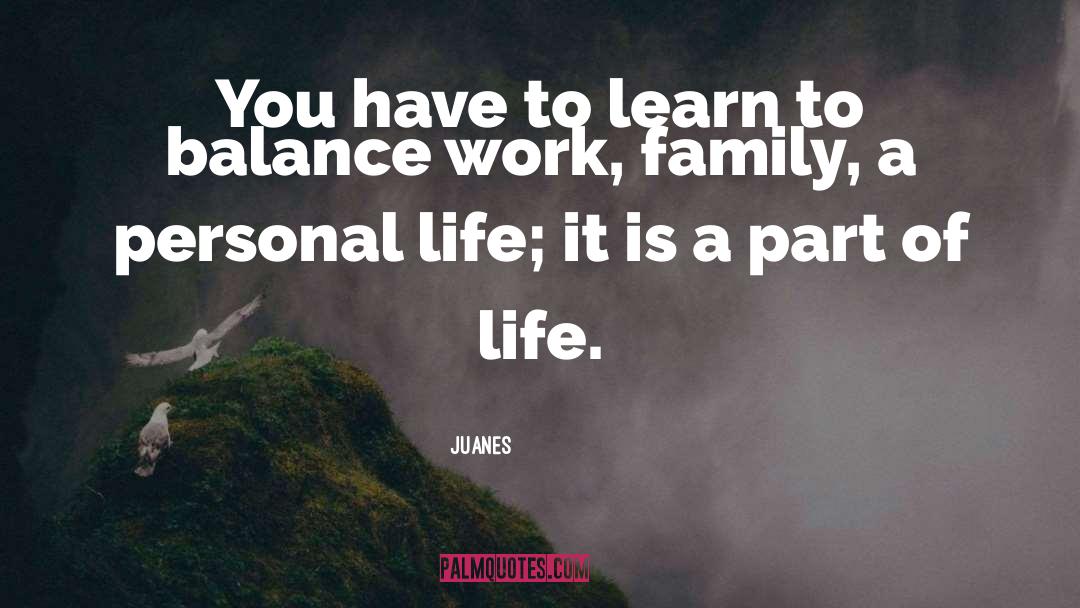 Juanes Quotes: You have to learn to