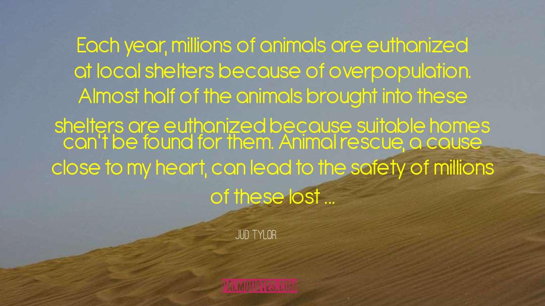 Jud Tylor Quotes: Each year, millions of animals