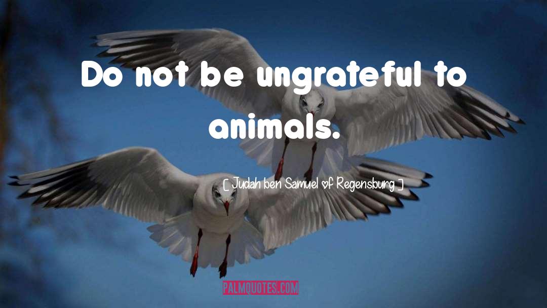 Judah Ben Samuel Of Regensburg Quotes: Do not be ungrateful to