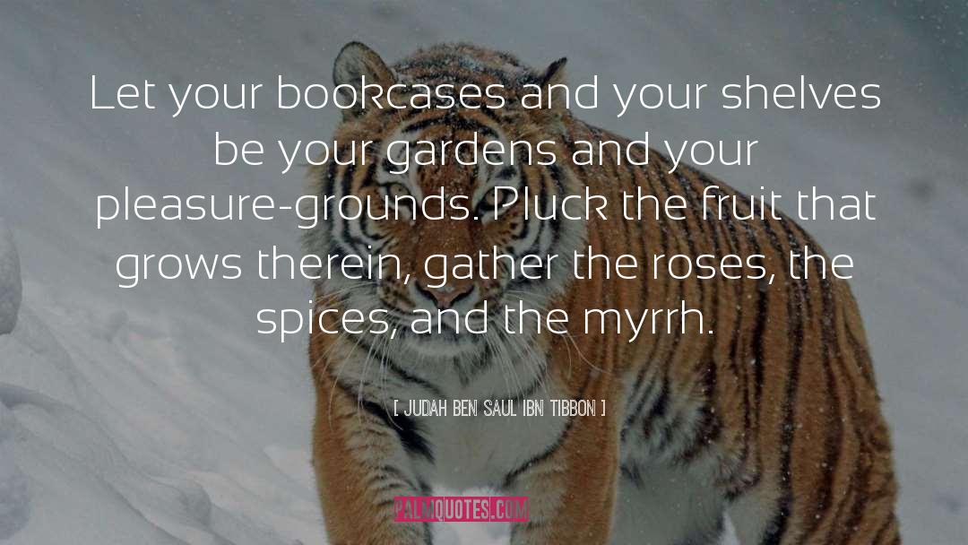 Judah Ben Saul Ibn Tibbon Quotes: Let your bookcases and your