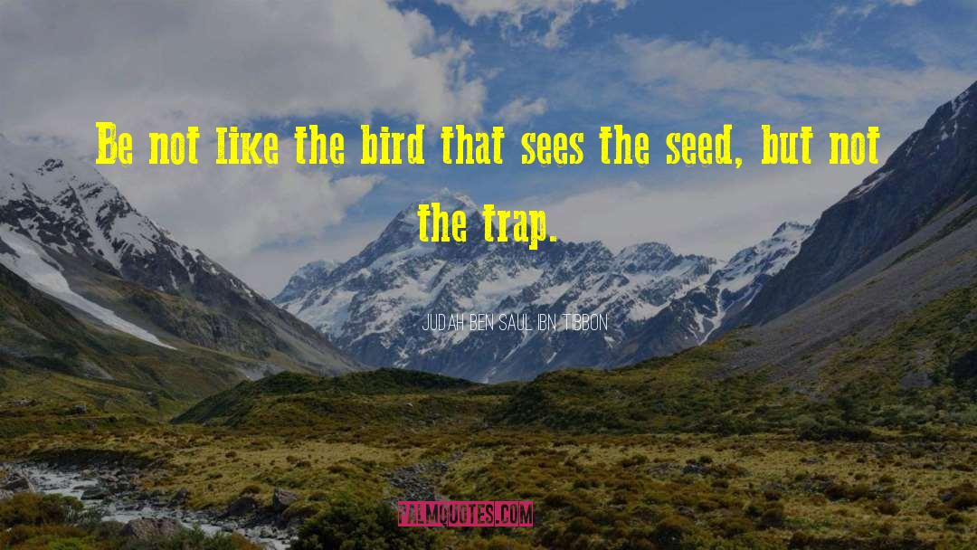 Judah Ben Saul Ibn Tibbon Quotes: Be not like the bird