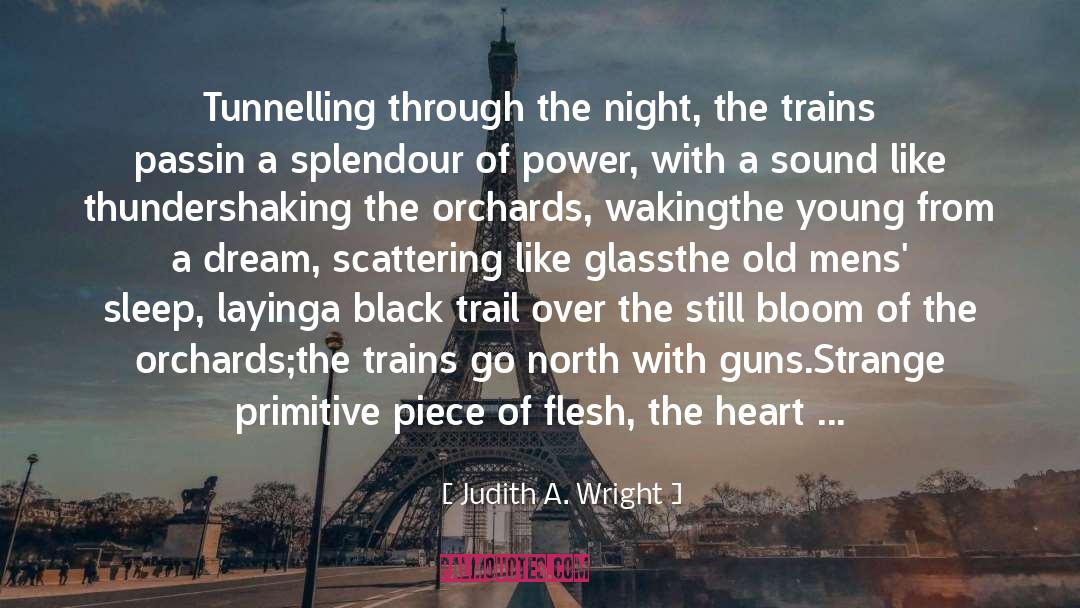 Judith A. Wright Quotes: Tunnelling through the night, the