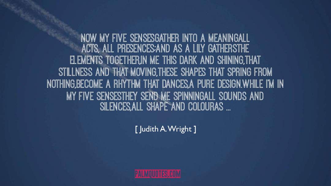 Judith A. Wright Quotes: Now my five senses<br />gather