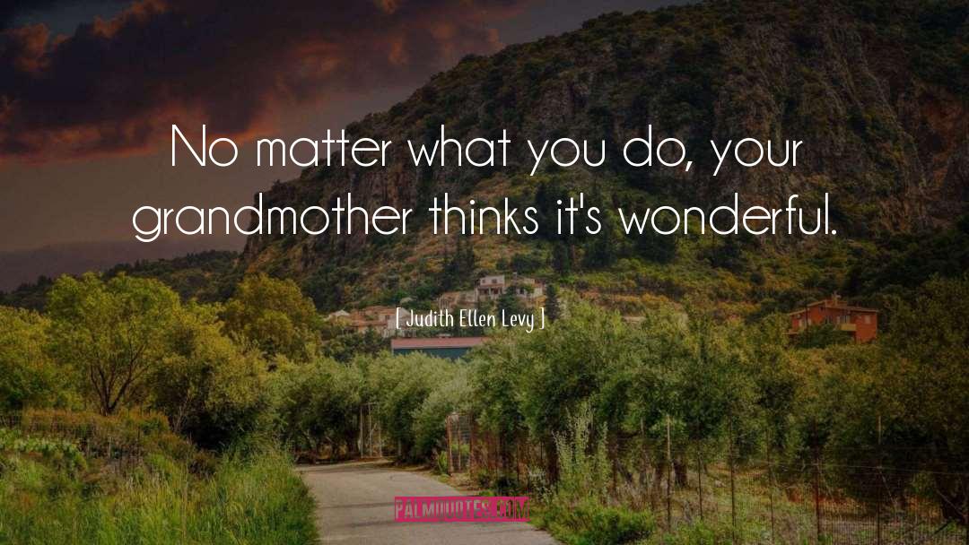 Judith Ellen Levy Quotes: No matter what you do,