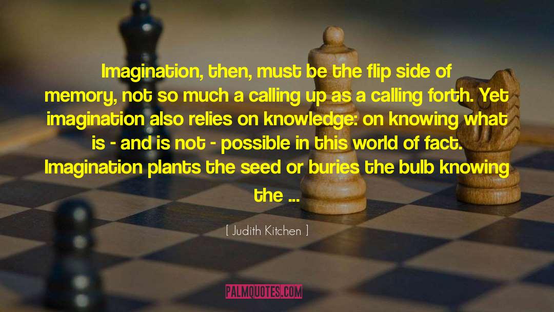 Judith Kitchen Quotes: Imagination, then, must be the