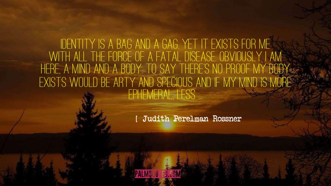 Judith Perelman Rossner Quotes: Identity is a bag and