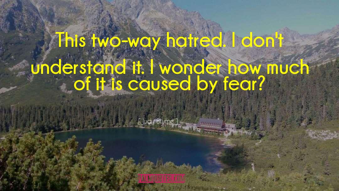 Judy Blume Quotes: This two-way hatred. I don't