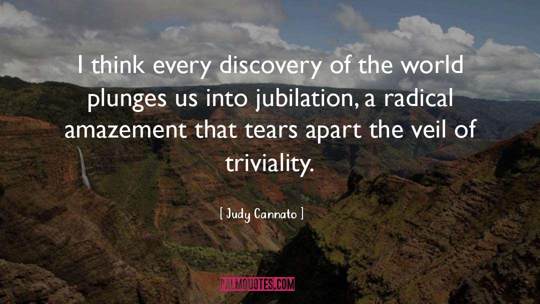 Judy Cannato Quotes: I think every discovery of