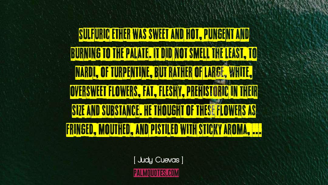 Judy Cuevas Quotes: Sulfuric ether was sweet and