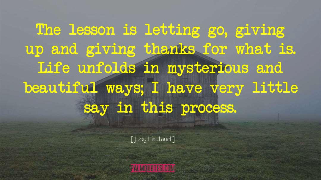 Judy Liautaud Quotes: The lesson is letting go,